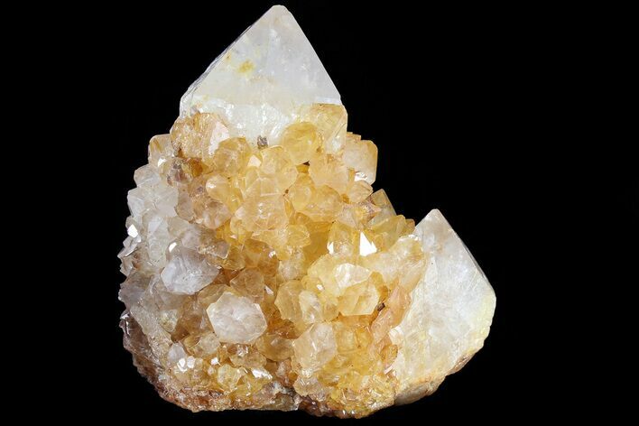 Sunshine Cactus Quartz Crystal Cluster - South Africa #80203
